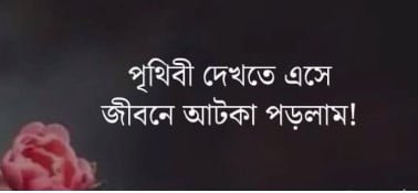 Best Facebook Emotional Caption Bangla