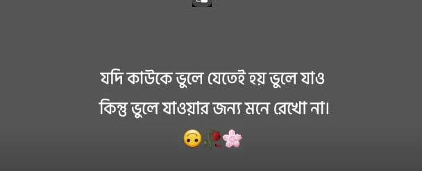 Best Facebook Profile Caption Bangla Attitude