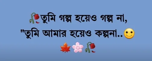 Facebook Sad Profile Caption Bangla (3)
