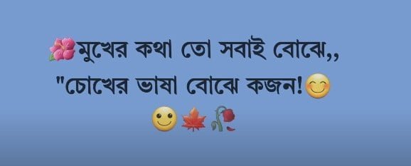 Sed caption for Facebook profile picture Bangla and English (2)