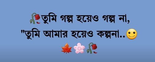 বাছাই করা- Bangla Short Caption For Facebook Profile Picture