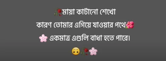 বেস্ট বাংলা ক্যাপশন -Facebook Profile Caption Bangla (3)